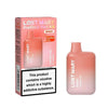 Lost Mary BM600 Prefilled Pod Vape Kit Box of 10
